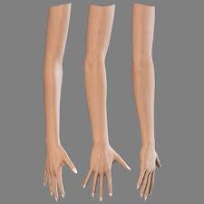 Female Hand Arm 3d Model Female Hand And Arm By Arne Kaupang Arm Anatomy Body Template Body Anatomy