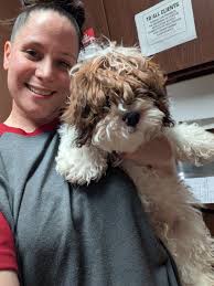 New Arrival at Ruby's Rescue: Kevin Heart the Norwegian Elkhound Puppy