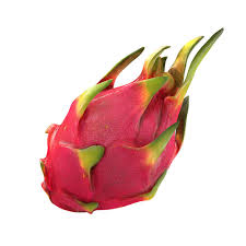 citation needed dragon fruit selenicereus Dragonfruit Per Pc Approx 280 G 450 G Jiomart