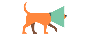 Here are 10 car insurance hacks the providers d. Dog And Puppy Cover Details Pet Insurance John Lewis Finance