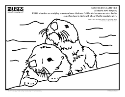 Sea Otter Coloring Werc Usgs Govoutreach Aspxrecordid Jpg 3300 2550 Coloring Pages Inspirational Ocean Coloring Pages Bee Coloring Pages