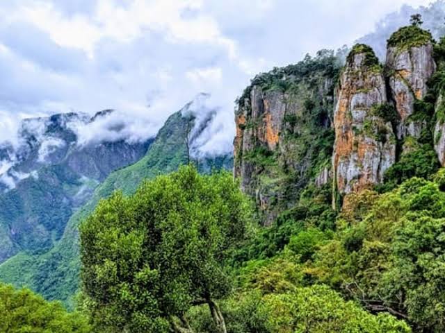 Kodaikanal hill station in tamilnadu called rajkumari of all hill stations  | हिल स्टेशन की राज कुमारी के नाम से मशहूर है ये जगह, खूबसूरत नजारे देख हो  जाएंगे मदहोश