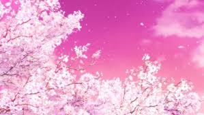 Hyouka Masterpost Anime Cherry Blossom Anime Scenery Aesthetic Anime