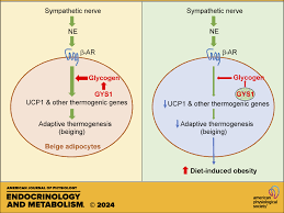 Image result for Beige 1983 Caloric