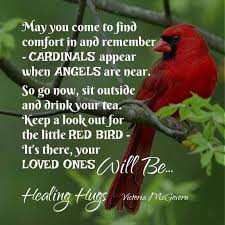 Angels From Heaven 6 3 16 I Saw A Cardinal Today At 7 15 Am On My Drive Home I Cried But Thank You God Grief Quotes Healing Hugs Sayings