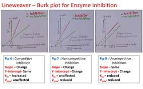 Lineweaver-Burk Plots Of The Inhibition Of Ace And Renin By Peptides.... |  Download Scientific Diagram