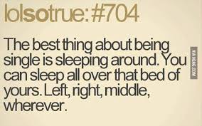The Perks Of Being Single Single Humor Super Funny Quotes Funny Quotes