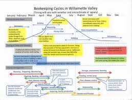 Honey Flow Chart Image Result For Nectar Bees Map Diagram