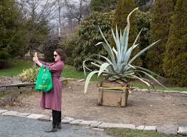 Hourly weather, 24 hour, 48 hour forecast halifax ns. Despite Brisk Maritime Weather Spectacular Desert Plant Set To Boom In Halifax 680 News