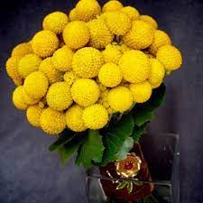 Pin On Party Ideas