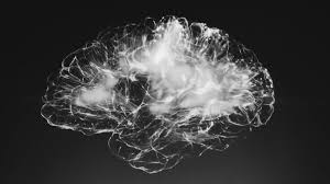 Brain Fog Why You Have It Plus 5 Ways To Fix It