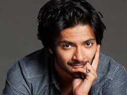 There's always been racism, there always will be: Ali Fazal
