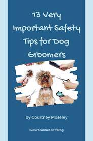 Blog Advantage Insurance Solutions Dog Groomers Dogs Groomer