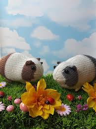 The best gifts for girls let their imagination run wild. Ravelry Guinea Pig Pattern By Nicky Fijalkowska