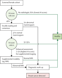 Though it is a scientifically proven fact that pregnancy may reduce the risk of cancer on a long term bases but increases the risk of cancer on a short term base. Effect Of Artificial Intelligence Based Triaging Of Breast Cancer Screening Mammograms On Cancer Detection And Radiologist Workload A Retrospective Simulation Study The Lancet Digital Health
