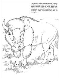 Parents may receive compensation when you click through and purchase from links contained on this website. Realistic American Bison Coloring Page Coloringbay
