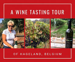 Hageland premium belgian chocolate 70% dark cocoa 10.5 ounce , 300 g (2 pack) brand: Wine Tasting In Belgium S Hageland Flemish Brabant Cheeseweb