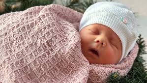 Fundraiser for Daniel Bontrager by Ryan Shelburne : Support the Bontragers