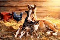 Ervin Sula (ervinsula01)