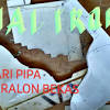 Cara pembuatan cetakan pot bunga. Https Encrypted Tbn0 Gstatic Com Images Q Tbn And9gcqajo1uce69f0jnk1agnhntau4e6ycnwtdixdqkqua Usqp Cau