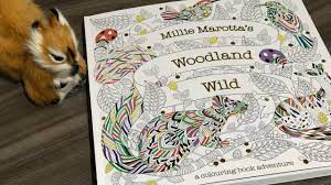 Add bright and brilliant colors to exotic blooms or a parrot's feathers. Woodland Wild Millie Marotta Coloring Book Flip Through Youtube