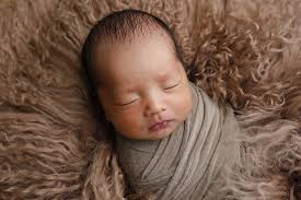 The Signature Newborn Photoshop Action Collection