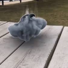 Smoke Animals In 2020 Make Your Own Animation Animals Funny Gif