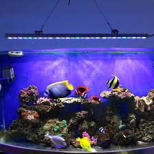 85cm Waterproof Aquarium Light Marine Coral Reef Led Strip Lamp Nicrew Fish Tank Decor Lighting Aquatic Plant Growth Bar Light Lamp Failure Light Bulbs For Touch Lampslamp Light Aliexpress