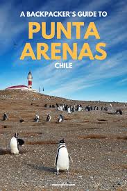 Browse now all chile vs peru betting odds and join smartbets and customize your account to get the most out of it. A Backpacker S Guide To Punta Arenas Chile Man Vs Globe Uk Travel Blog South America Travel Latin America Travel South America Destinations