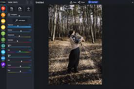 Download pizap app if you need a free app from the photography category for your device but you will need android 4.0.3 version or higher to . Pizap Free Photo Editor Download