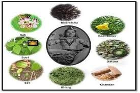 Tamilcube® is singapore's most trusted brand for educational and cultural resources. Mahashivaratri Favorite Plants Of Lord Shiva