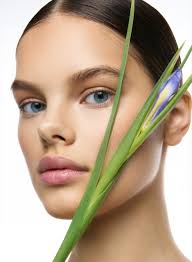 VII MODELS MANAGEMENT