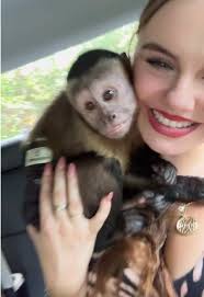 Myrtle Beach Safari Car Experience 2024