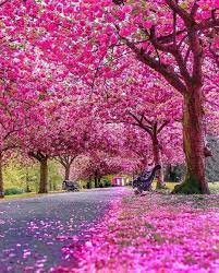 Explore The Most Beautiful Places In Uk Best Uk Photos United Kingdom Beautiful Picture By Shadz Ig Londonnatu Natur Bakgrund Blommor