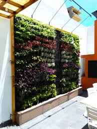 Jardin Vertical Con Plantas De Exterior Agregamos Un Muro Lloron En Medio De Los Dos Jardines Jardinver Jardines Verticales Plantas De Exterior Techos Jardin