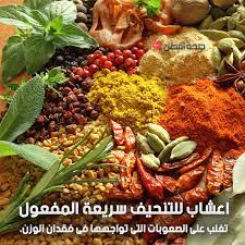 اعشاب للتنحيف سريعة المفعول لانقاص الوزن وحرق الدهون بشكل طبيعى diet