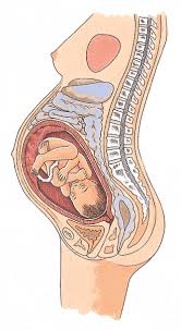Ssw direkt bei dem baby an und geben seinem gewicht noch mal einen ordentlichen schub. 8 Monat Mama Kind Buch