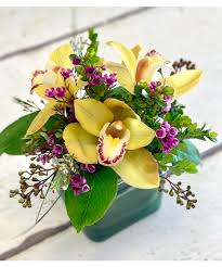 Maybe you would like to learn more about one of these? Mahalo Nui Loa Flowers Orchids Bagoy S Florist Anchorage Ak