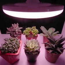100 Flicker Free High Cri 97 Ufo Led Grow Light Full Spectrum Buy Led Grow Light Full Spectrum Led Grow Light Full Spectrum Led Light Bulbs Product On Alibaba Com