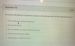 ccells placed in an isotonic solution would have an equal amount of flow into and out of the cell and its size would remain stable. Question 12 O Pts An Animal Cell Placed In A Chegg Com