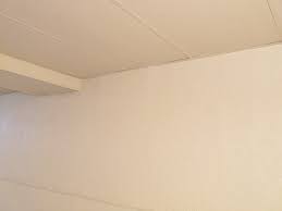 I'm wondering if i should just paint this area instead to give a little more contrast from the white cabs. How To Paint Drop Ceilings You Cannot Remove Dans Le Lakehouse