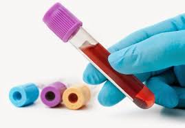 Os exames podem ser classificados de modo didático em: Exames Laboratoriais Morada Do Pet Clinica Veterinaria Morada Do Pet Clinica Veterinaria