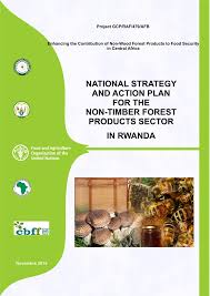 Image result for Vernonia kirungae