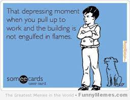 Every Freakin Day Funny Memes Work Memes Memes