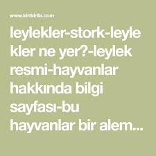Leylek In 2020