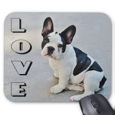 Which french bulldog mix is right for you? Love French Bulldog Black And White Puppy Dog Mouse Pad Zazzle Com French Bulldog Dog French Bulldog Names French Bulldog Puppies