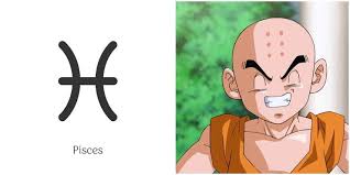 Discover everything you've ever wanted to know about your horoscope and more. Which Dragon Ball Z Character Are You Based On Your Astrology Type
