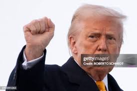 43,663 Roberto Schmidt Stock Photos, High-Res Pictures, and Images