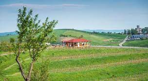 Sarea'n bucate hotel, restaurant din turda. Sarea N Bucate Crama La Salina Turda Booking Deals Photos Reviews