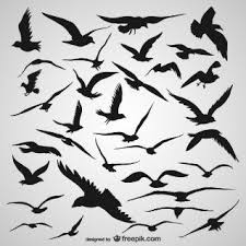 Silhouette Fliegende Vogel In 2020 Fliegende Vogel Fliegender Vogel Silhouette Vogel Silhouette